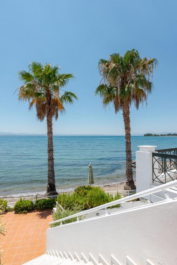 Beachfront Modern Apartment